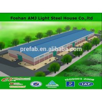 steel structure/ steel structure building